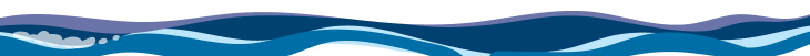 background sg company incorporation