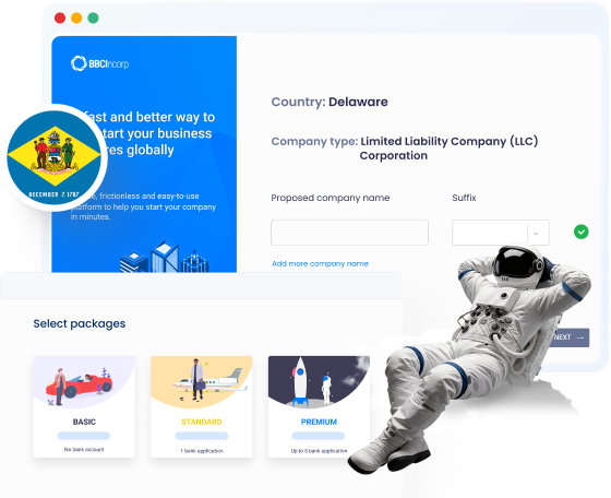 Delaware Company Formation With Professional Services