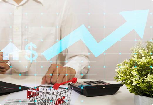 solution-2-ecommerce-sg-services