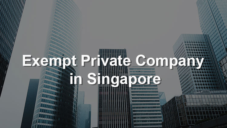 an-introduction-to-exempt-private-company-in-singapore