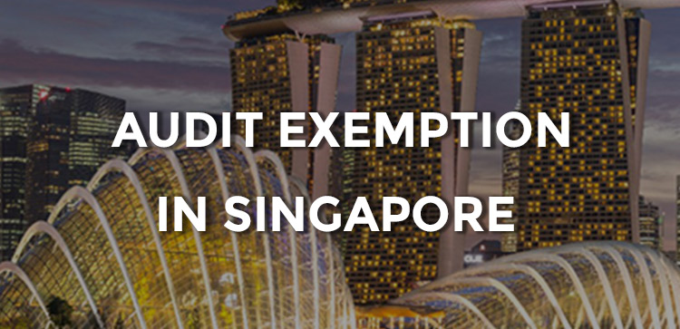 How To Qualify For Audit Exemption In Singapore