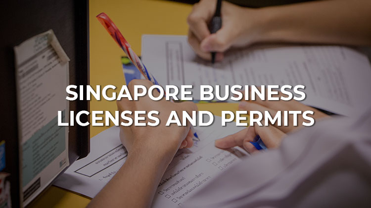 Licenses And Permits For Specific Industries In Singapore