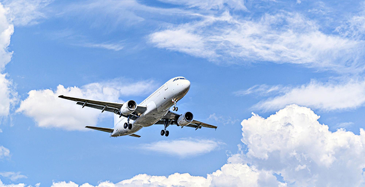 Delivery Service Suspended Due To Covid-19 Delivery Service Suspended Due To Covid-19