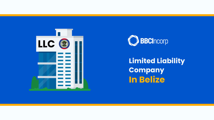 Belize Limited Liability Company (LLC): Why You Should Consider