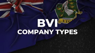 British Virgin Islands: An Introduction To The BVI Company Types