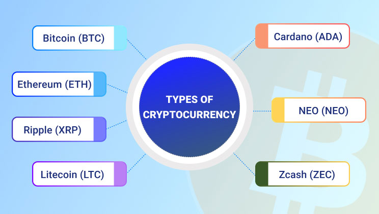 infographic about types of cryptocurrency