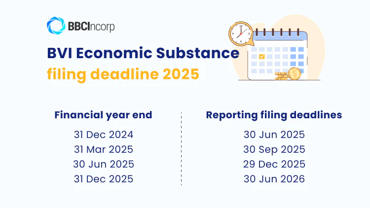 BVI Economic Substance filing report 2025