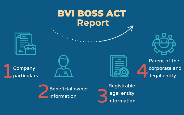 bvi-boss-reporting