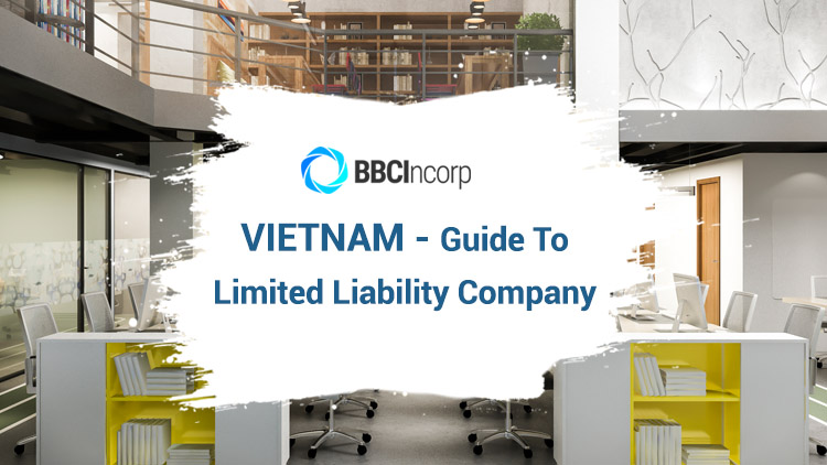 A General Guide to Limited Liability Company In Vietnam