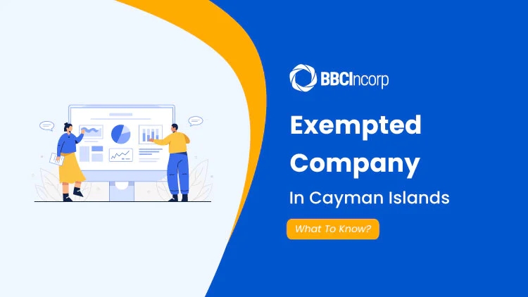 cayman islands exempted company