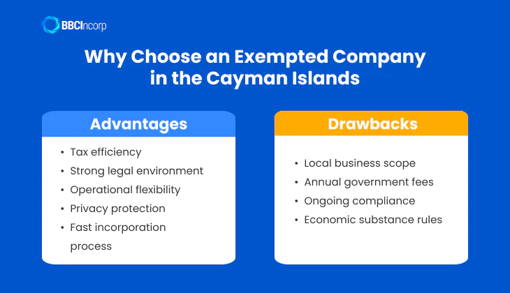 Why Choose an Exempted Company in the Cayman Islands