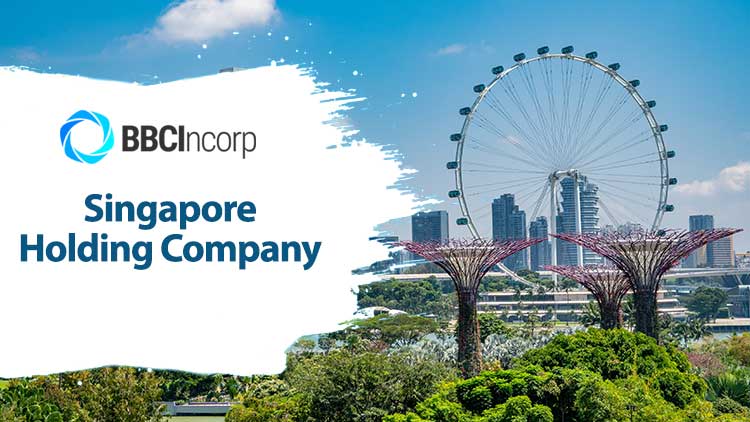 Singapore holding company