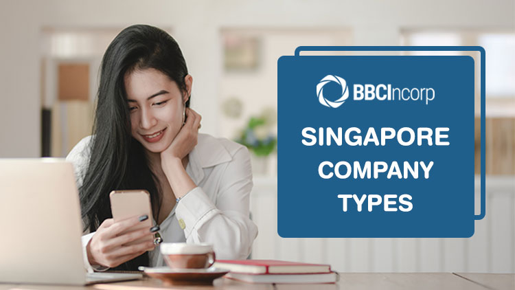 Guide To Types of Companies in Singapore (2022 Updates)
