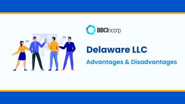 Top 8 Delaware LLC Benefits You Should Get To Know