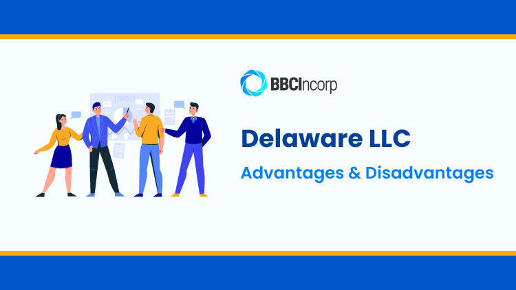 Delaware LLC Advantages Disadvantages