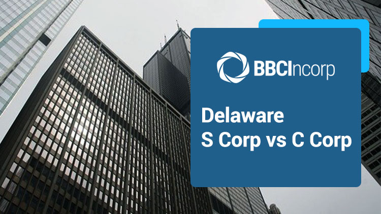 Delaware S Corp vs C Corp And Issues That Differentiate Them