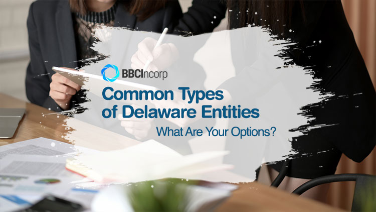 Common types of business entities in Delaware