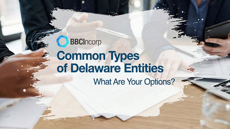Delaware Business Entities