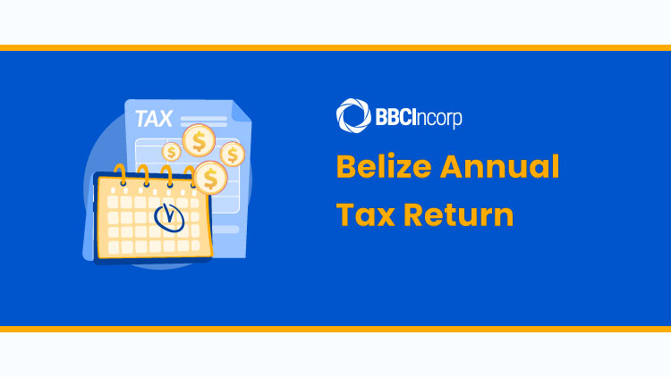 Belize Annual Tax Return
