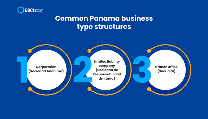 Common structures of Panama business
