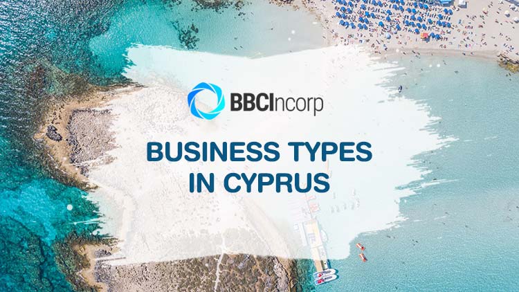 business types in cyprus