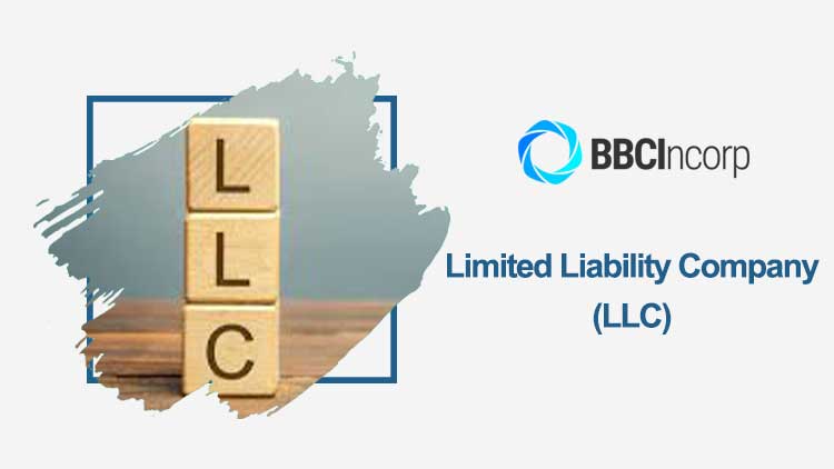 limited liability company llc