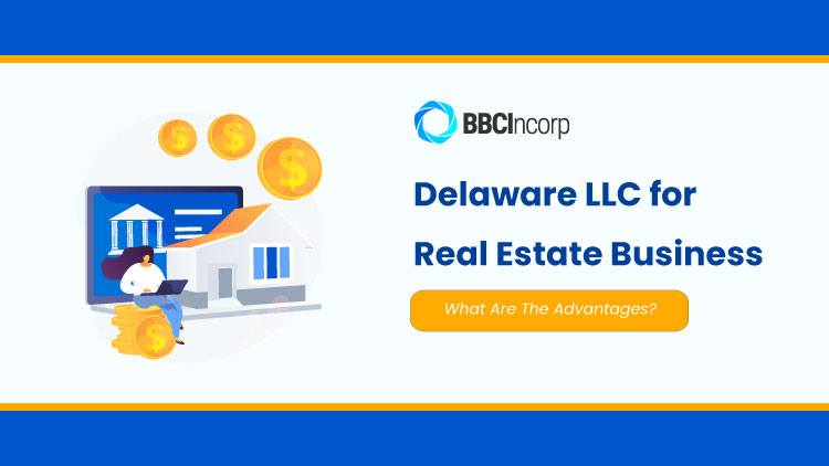 Delaware LLC for real estate
