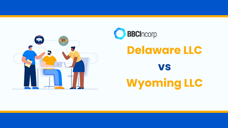 Delaware VS Wyoming LLC