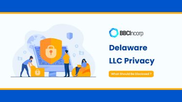 delaware llc privacy