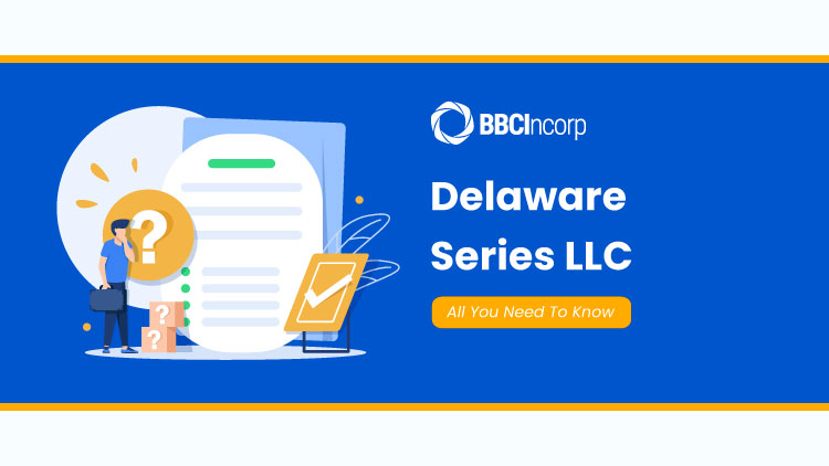 Delaware Series LLC