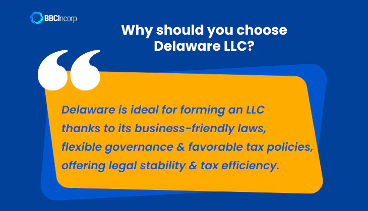 Why should you choose Delaware LLC?