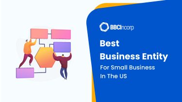 best business entity for small business in the US