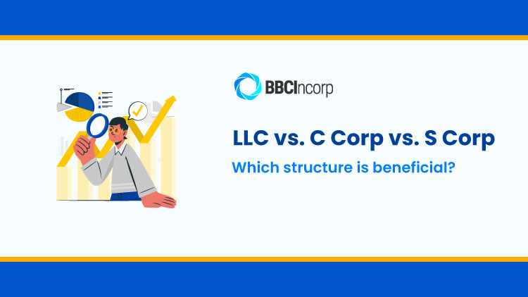 S Corporation Definition  Comparison with LLC & C Corp