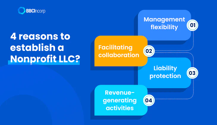 4 Reasons to establish a Nonprofit LLC?
