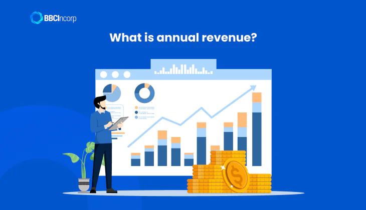 What does annual business revenue mean?