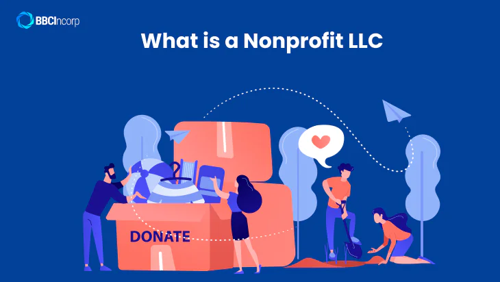 What is a Nonprofit LLC