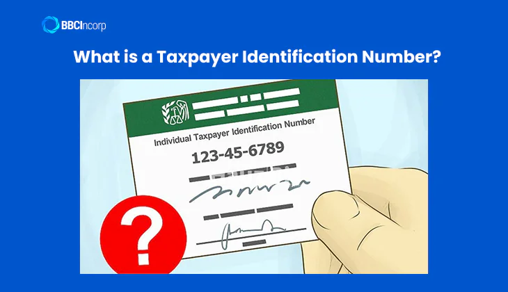 What is a Taxpayer Identification Number