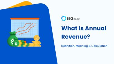 what is annual revenue