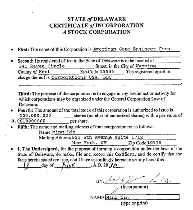 Articles of incorporation certificate in Delaware