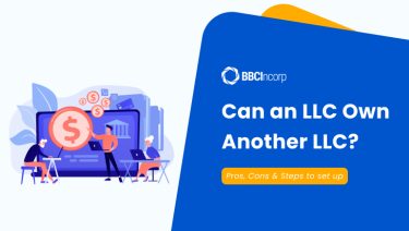 Can an LLC own Another LLC