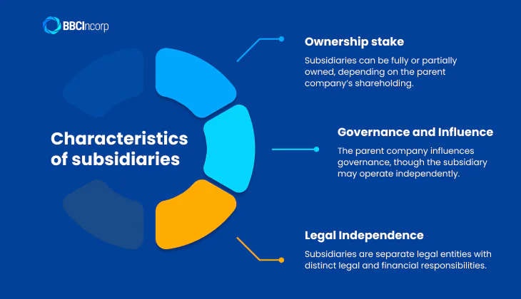Characteristics of subsidiaries company