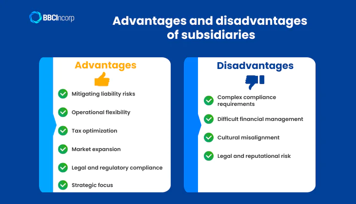 Disadvantages and advantages of subsidiaries