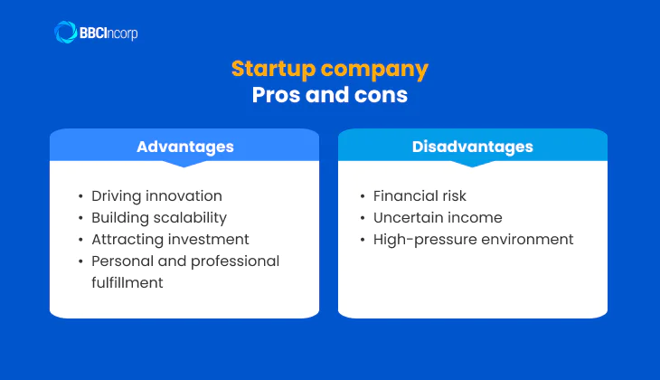 The pros and cons of building a startup business.