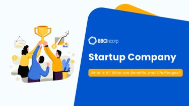 what is a startup company