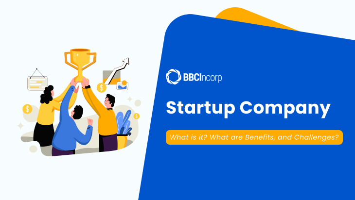 what is a startup company what is a startup company