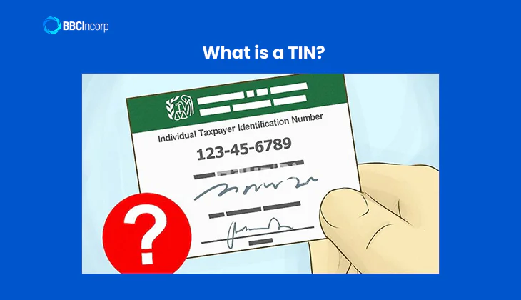 What is a TIN