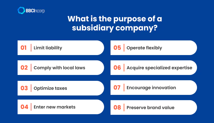 What is the purpose of a subsidiary business