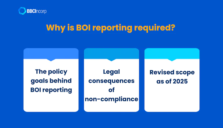 What is the purpose of boi reporting