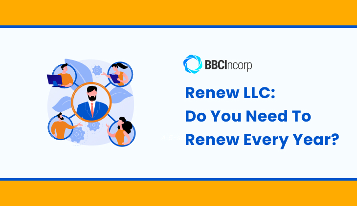 renew llc renew llc