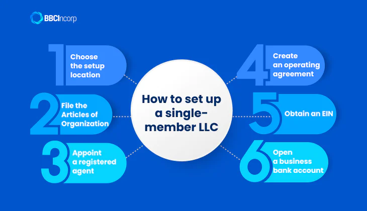 Setting up a single member LLC guideline